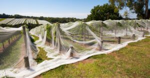 Métodos naturales para el control de plagas en Asturias