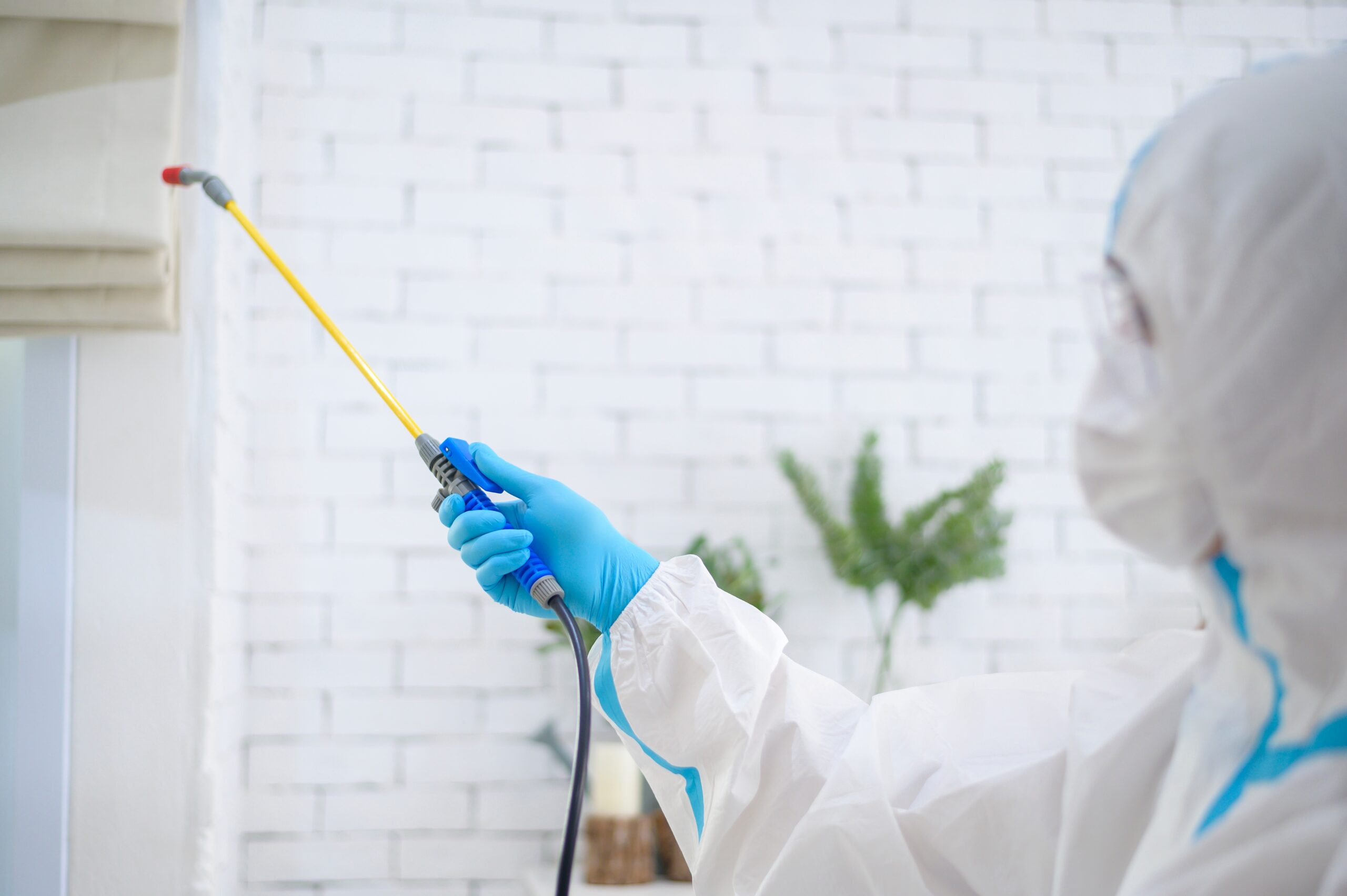 DEPORASTUR, empresa especializada con ROESB en control de plagas en Gijón